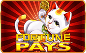 Fortune Pays H5